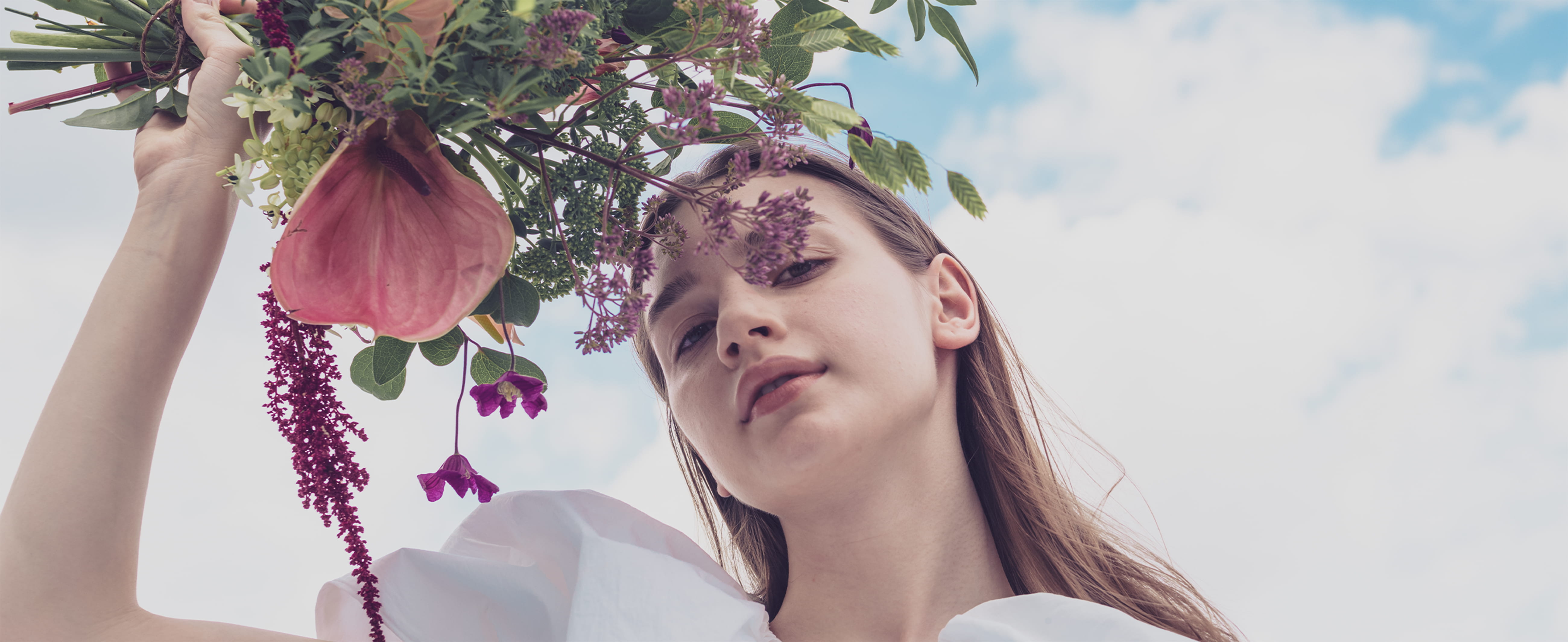 モントソレーについて